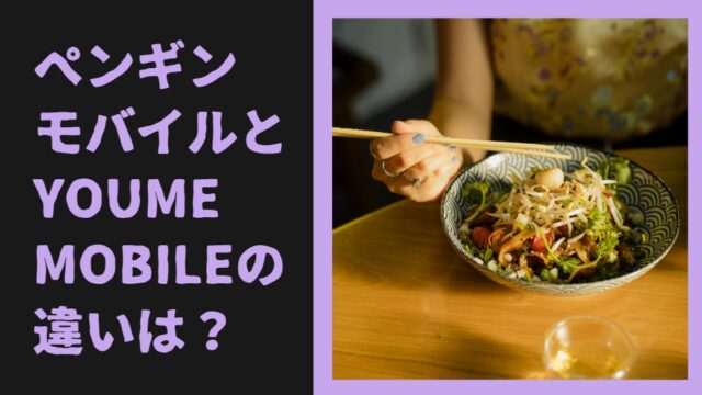 ペンギンモバイルとyoume mobileの違いは？